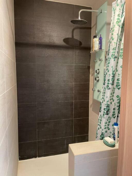 Appartement A 150M Du Lac- Plage De L'Imperial Annecy Kültér fotó